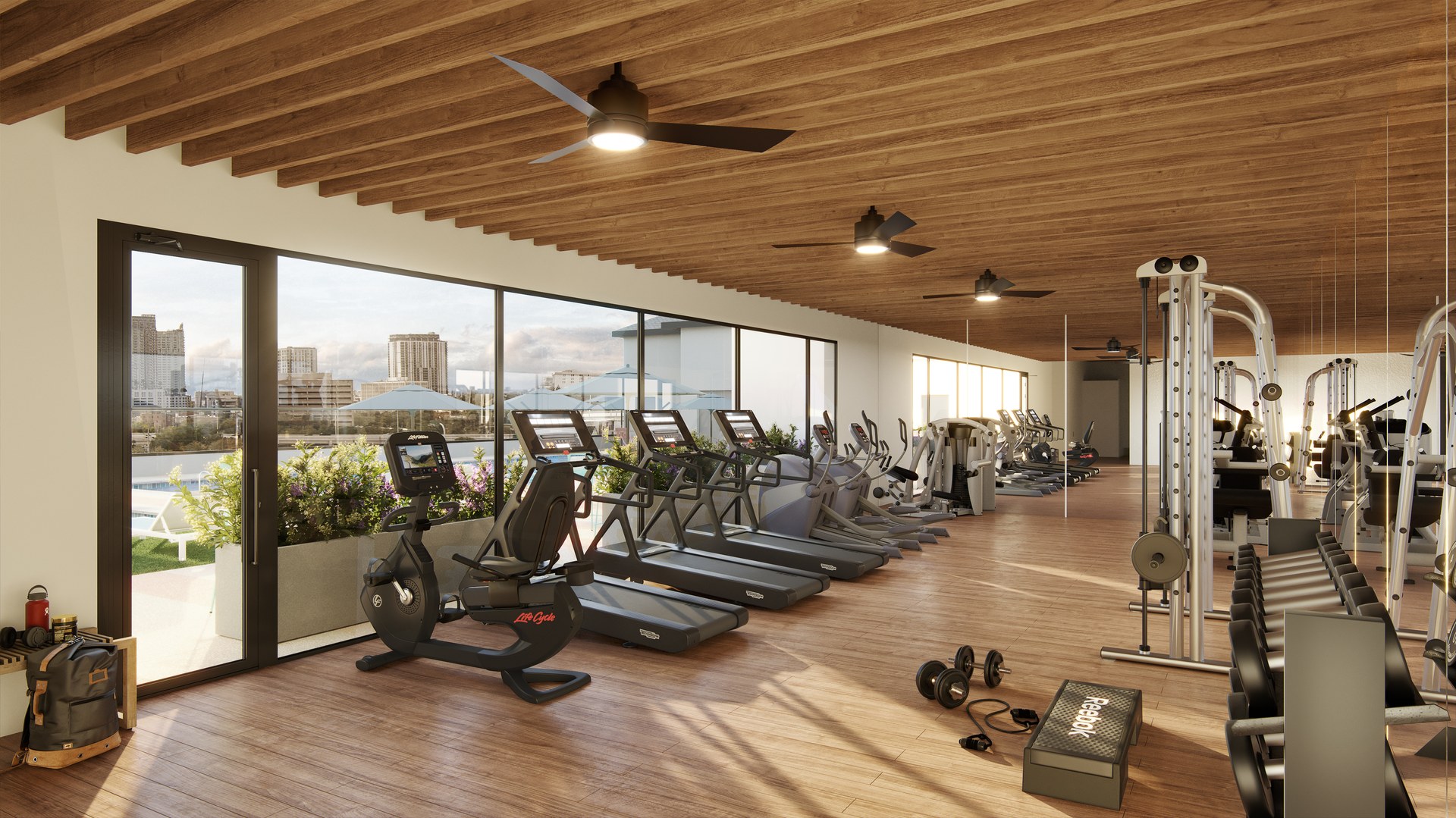 fitness